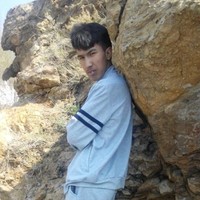 如斯太木