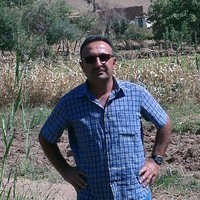 Zaur Acaloğlu