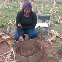 Elelwani Tshivhase (Pr.Sci.Nat)