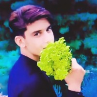 Sahir Ullah