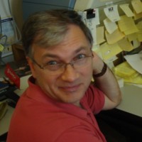 Andrey Arzumanov