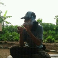 bang baron