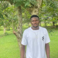 Kingsley Ubah