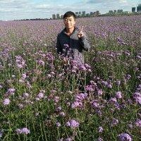 孙佳磊