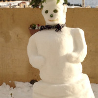 Alaa Fannoun