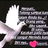 Perdi Putra