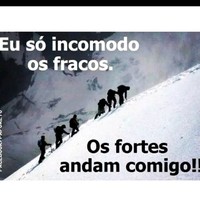 Jose carlos Martins