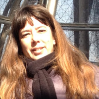Aylin Suntay
