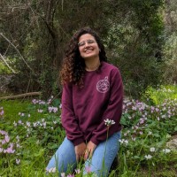 Arava Kutner