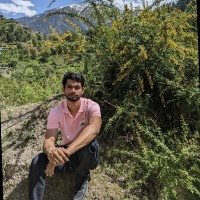 Vipin Panwar