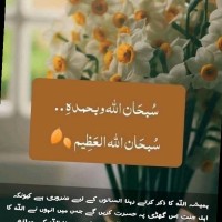 Syeda Anam