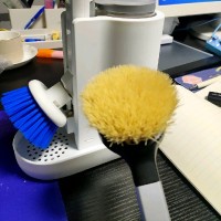 徐建强