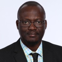 Opeyemi Ogunbadejo