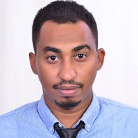 Mohammed EL-Montasir Awadallah