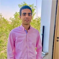 Mahmoud Elkadi