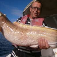 Jaap Kommer