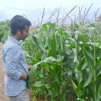 Ram Mohan Reddy N
