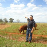 Amilton Gonçalves