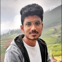 Dinakaran N
