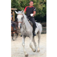 Tamer AKTAŞ