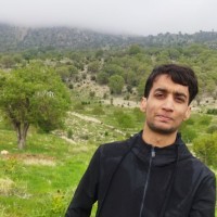 Amir Shamsi