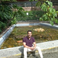 Daniel E Salazar