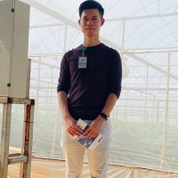 Quan Wei Ng