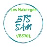 BTS SAM VESOUL