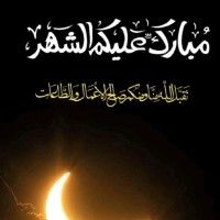 Aseef Muradabadi