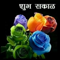 Amol  V . Kadam