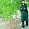 Hamza Najeeb Khan