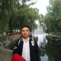 马立飞