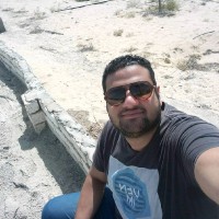 احمد انور