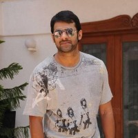 Subbu P