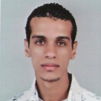 Sherif Monem
