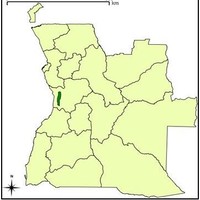 Jackson Carlos, Lda.