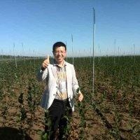 王玉忠