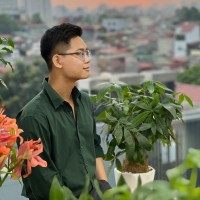 Nhu Duy Anh