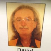 David Potter