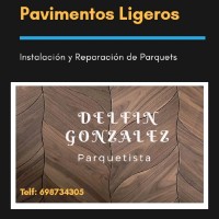 Delfín gonzález