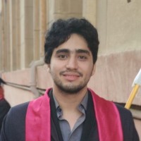 Ali El-Sayed Ali
