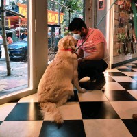 Gaurav Sarkar