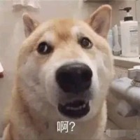 张爱珍