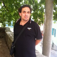 Pino Imperiale