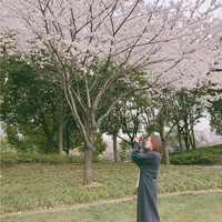 姚梦蝶