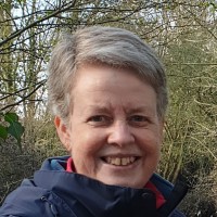 Sheila Collings