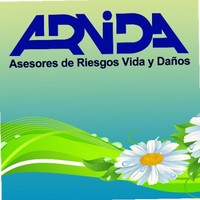 David Pacheco Morales
