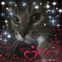 Rachelle Osher