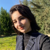 şule aslan
