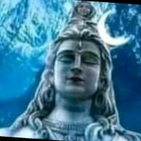 Mohit Rajput